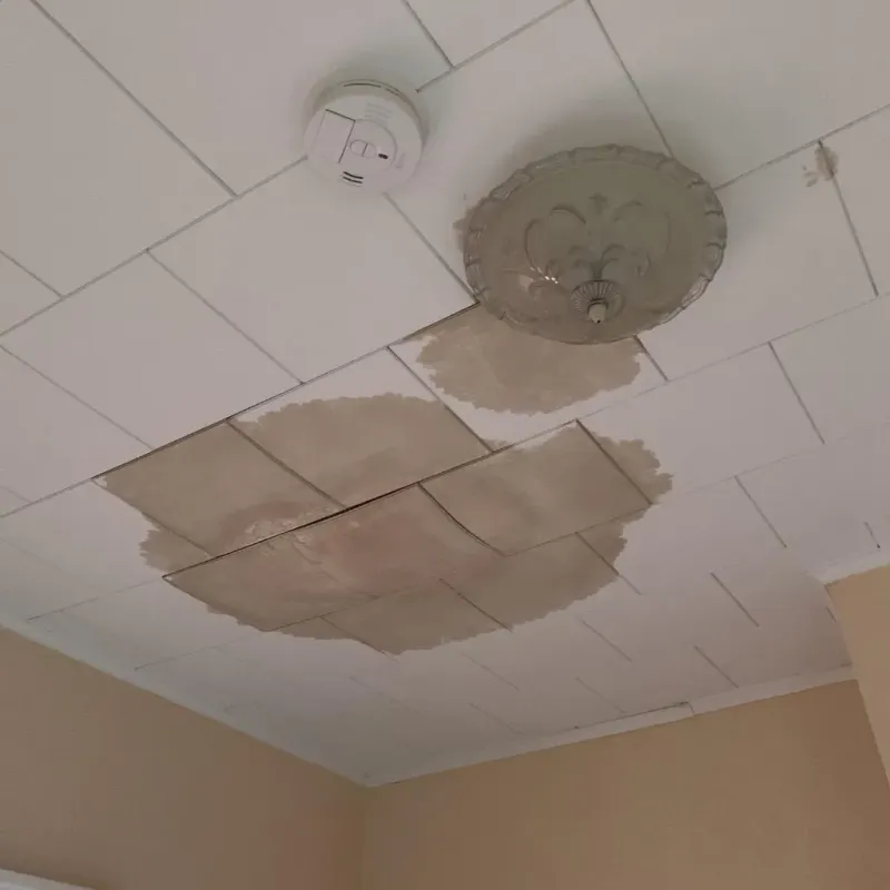 Ceiling Water Damage Repair in Waller, WA